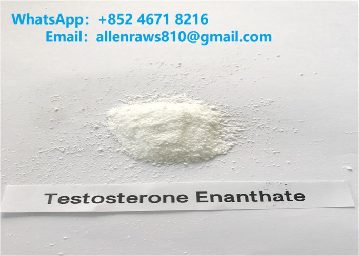 Testosteron enanthate ham steroid tozları